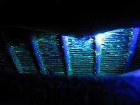 Click image for larger version. 

Name:	OilLeak02.JPG 
Views:	3850 
Size:	115.0 KB 
ID:	7767