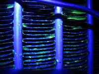 Click image for larger version. 

Name:	OilLeak04.JPG 
Views:	3884 
Size:	154.2 KB 
ID:	7769