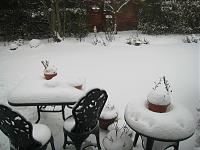 Click image for larger version. 

Name:	Snow02.JPG 
Views:	236 
Size:	144.2 KB 
ID:	8197